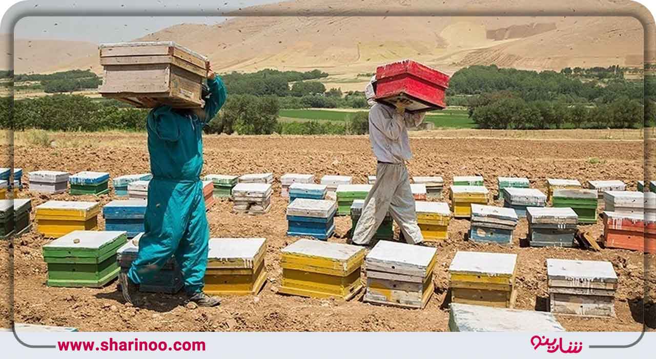 عسل کردستان