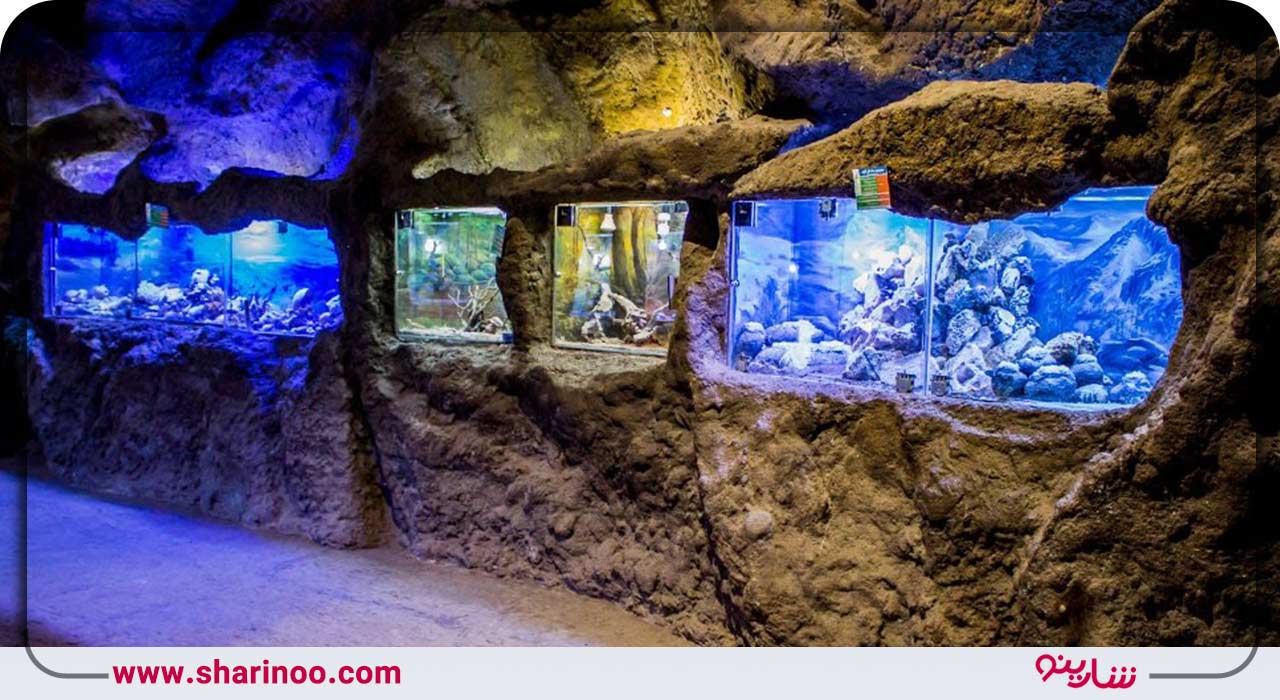 غار آکواریوم گنج‌نامه همدان