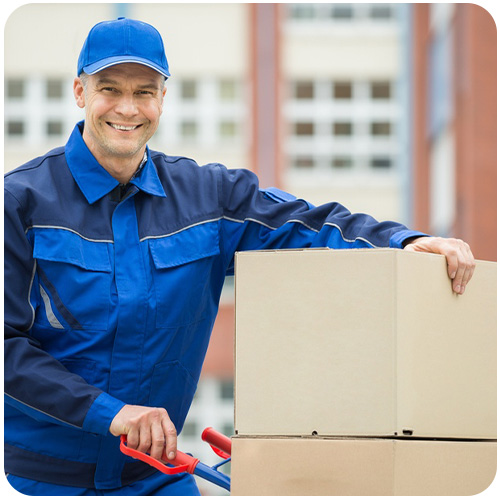 باربری ظریف بار شارینو