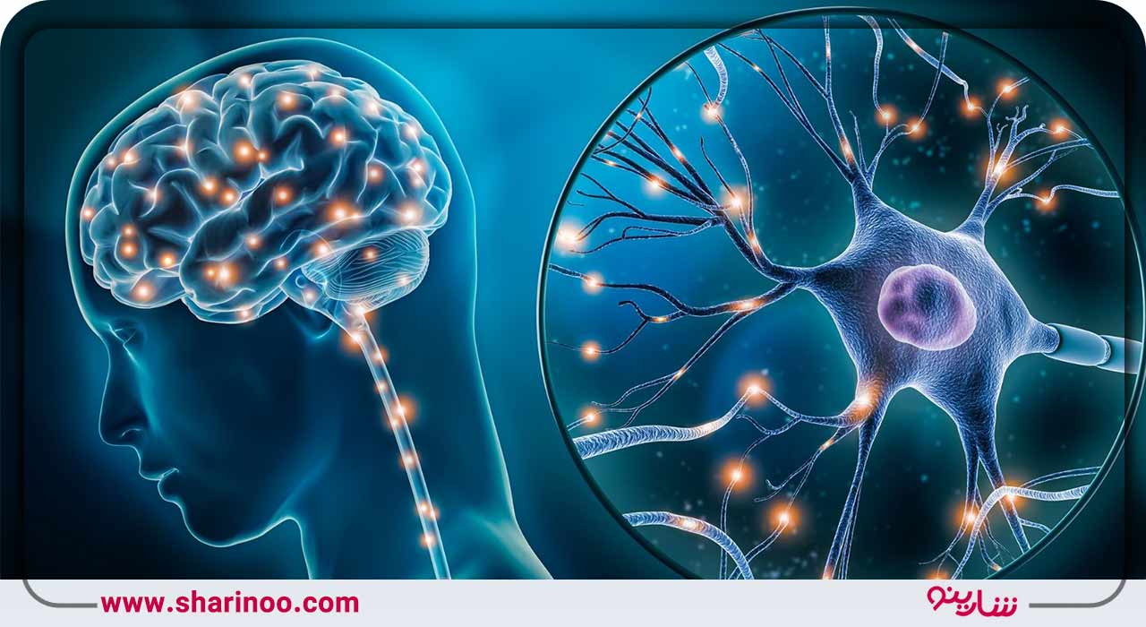 لیست بهترین متخصصان مغز و اعصاب در همدان