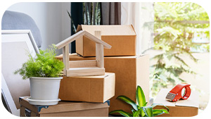 تجربه ای متفاوت با باربری آزادی