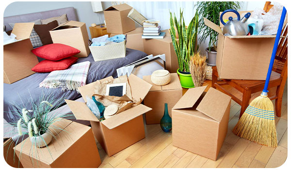 بسته بندی و بهترین چیدمان اثاث منزل در باربری دامپزشکی