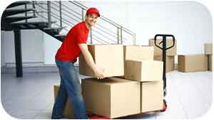 باربری چیتگر همیشه در دسترس