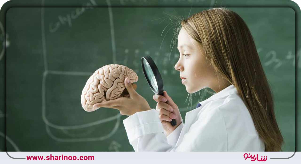 کلام پایانی