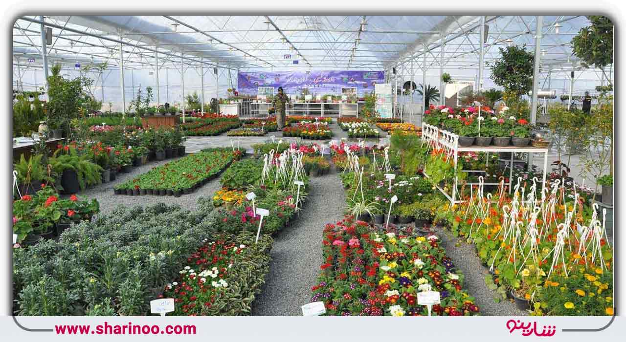 بازار گل و گیاه اصفهان