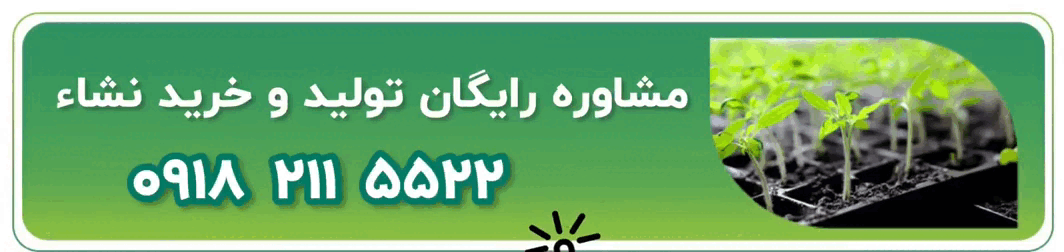 مشاوره رایگان تولید و خرید نشا گوجه فرنگی