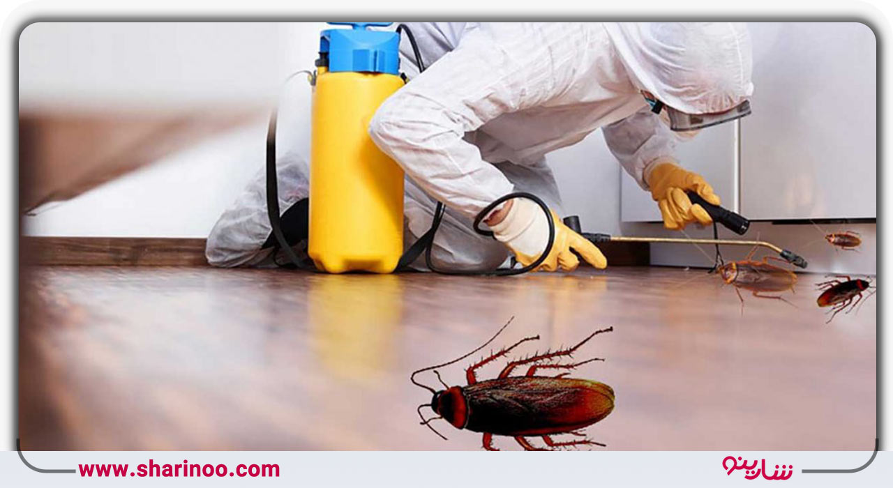 اصلیترین مراحل فرایند سمپاشی در اصفهان- ارزیابی محیط و حشرات