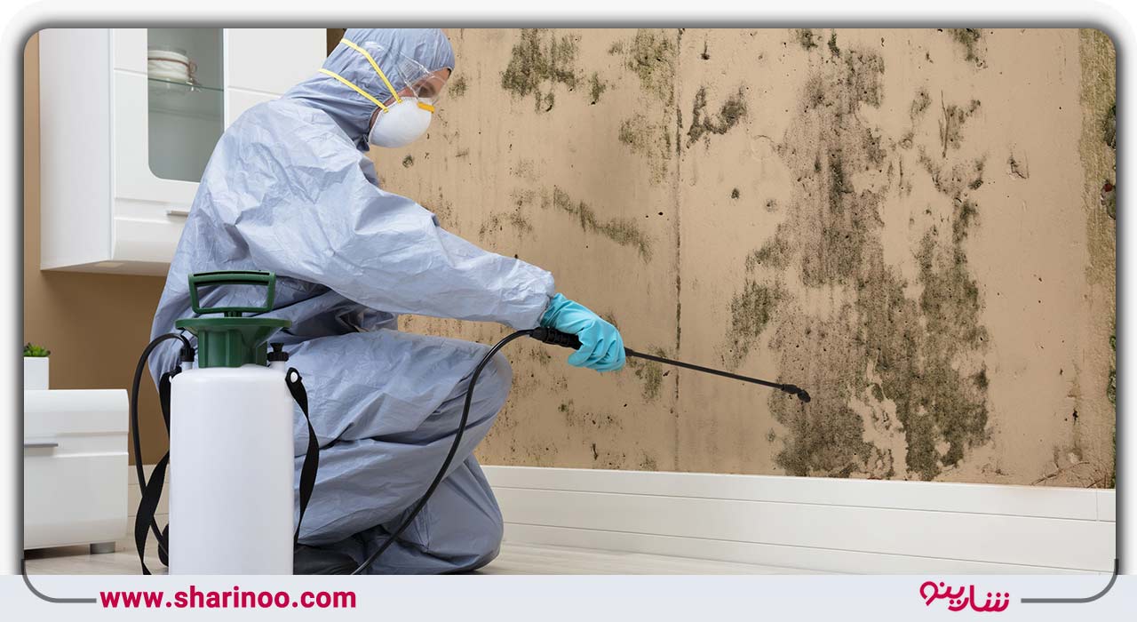 هزینه سمپاشی منازل یا محیط‌های عمومی در اصفهان