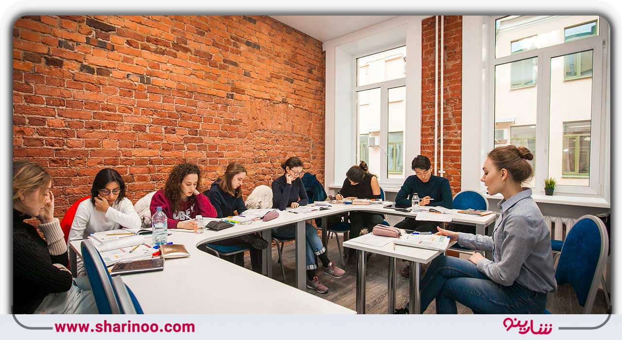 شاخه‌های مختلف زبان چیست؟