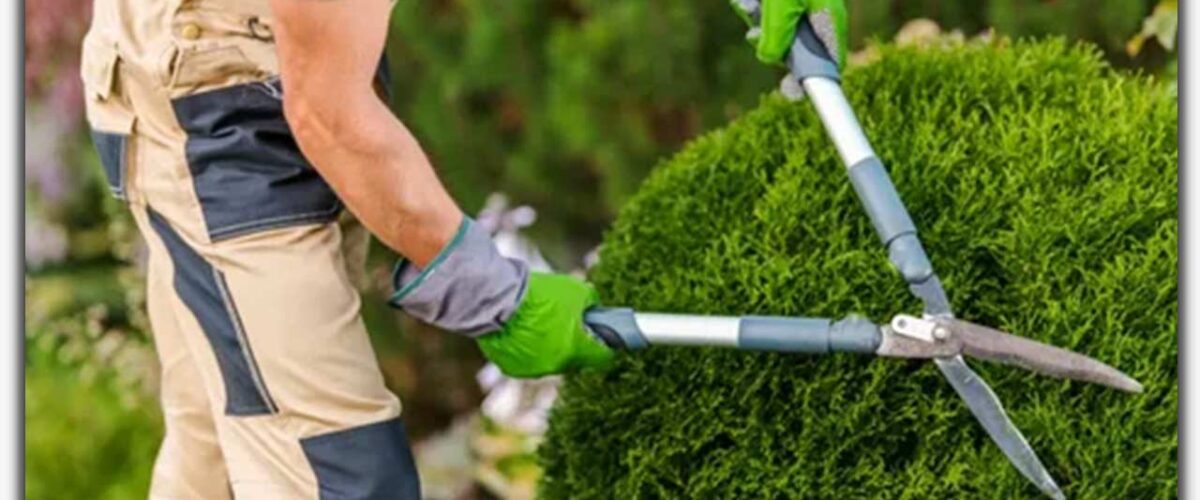 هرس باغ در اصفهان