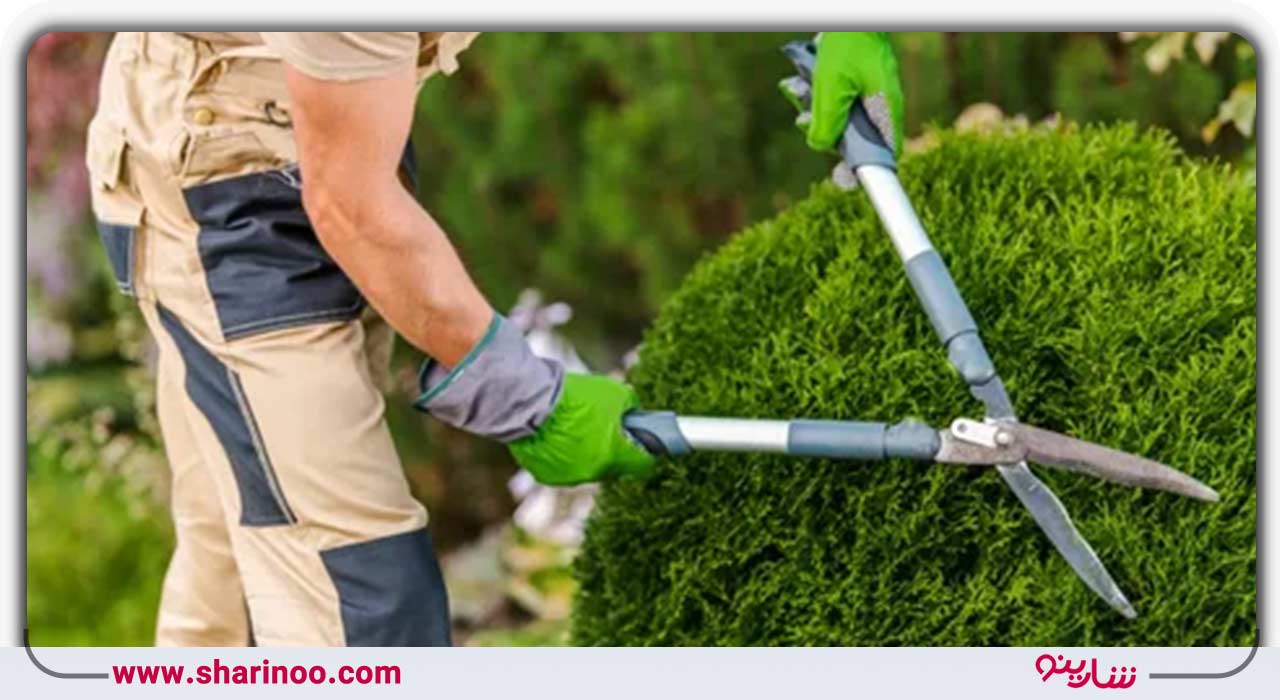 هرس باغ در اصفهان