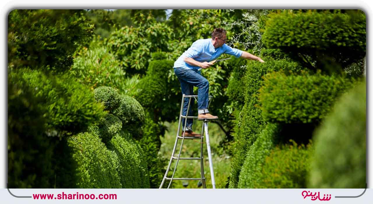 زمان انجام هرس باغ در اصفهان