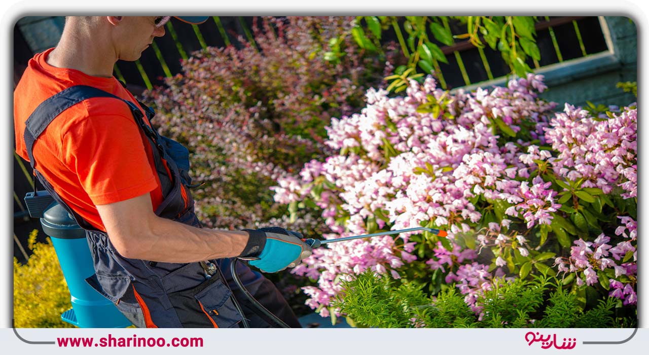 مراکز سمپاشی در یزد