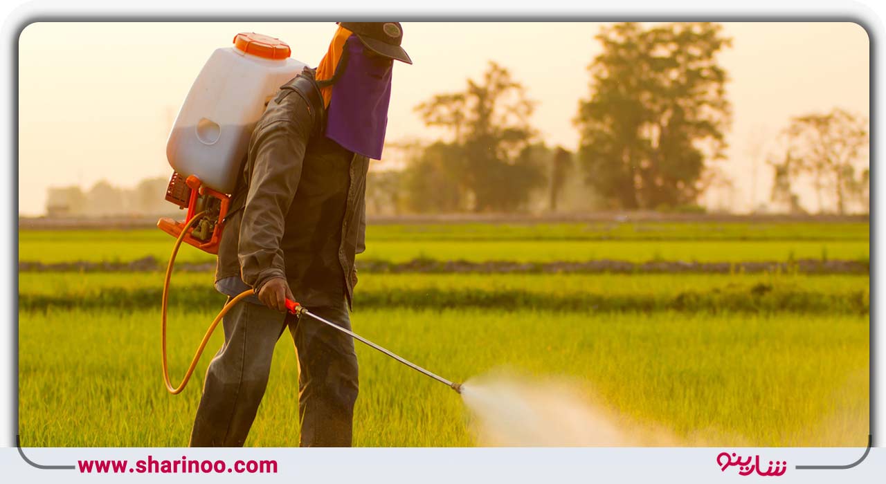 سمپاشی حشرات موذی در یزد