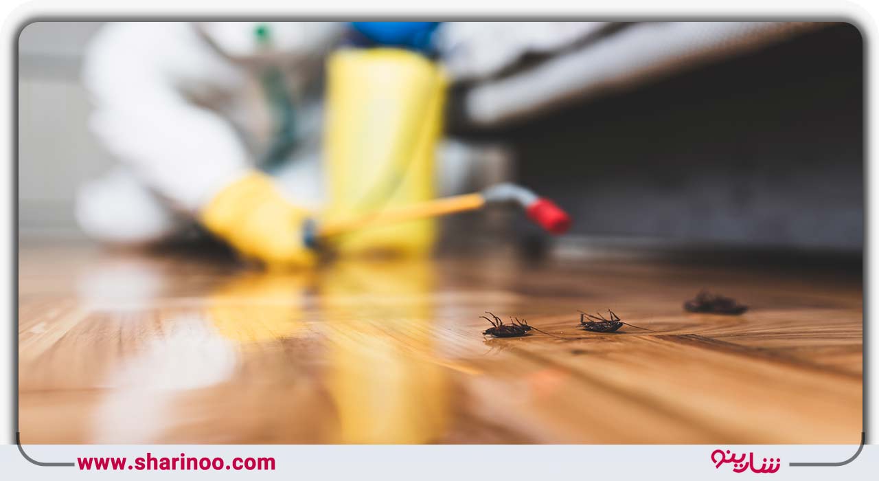 سمپاشی سوسک در یزد