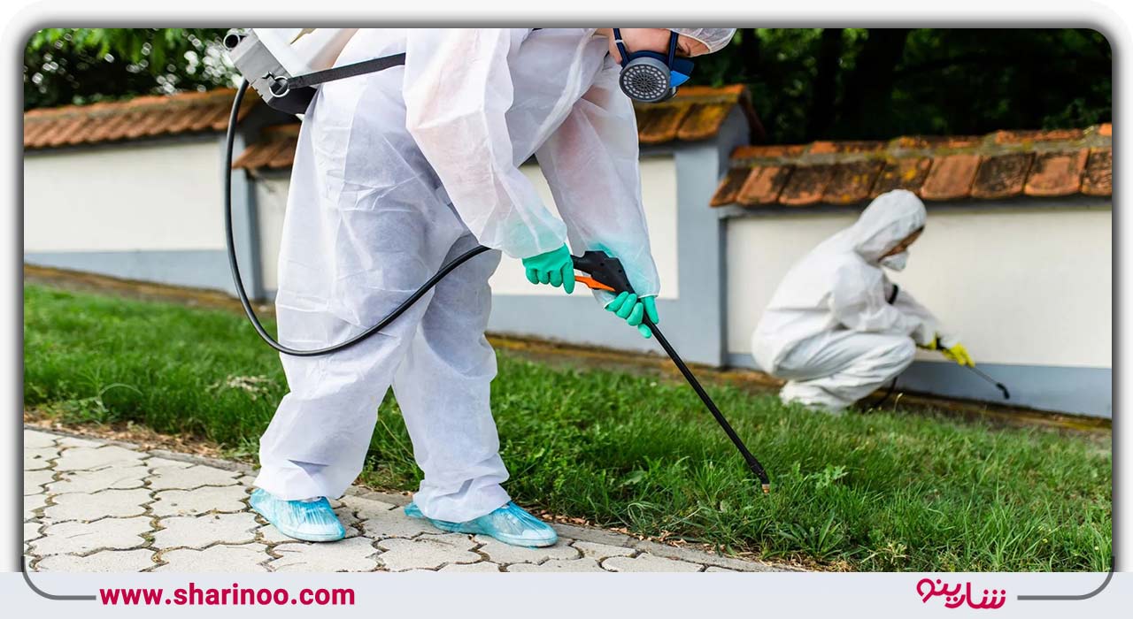 سمپاشی مارمولک در یزد