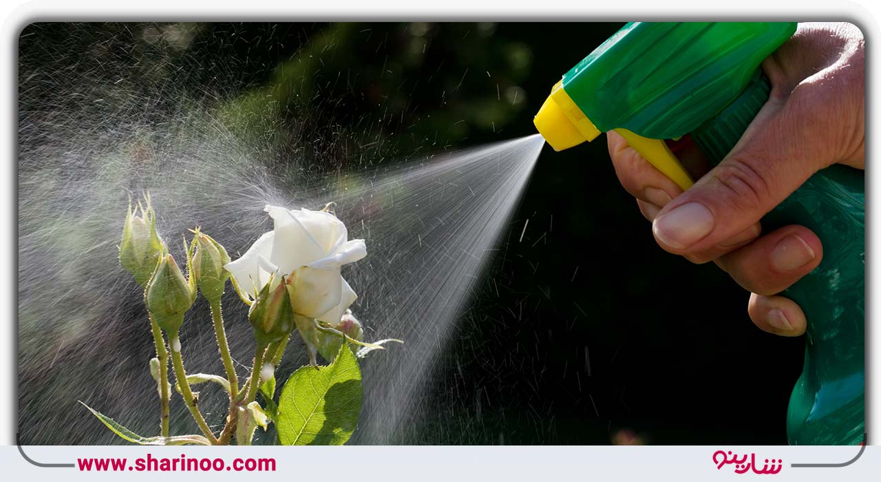 سمپاشی منازل یزد- اسپری حشره کش