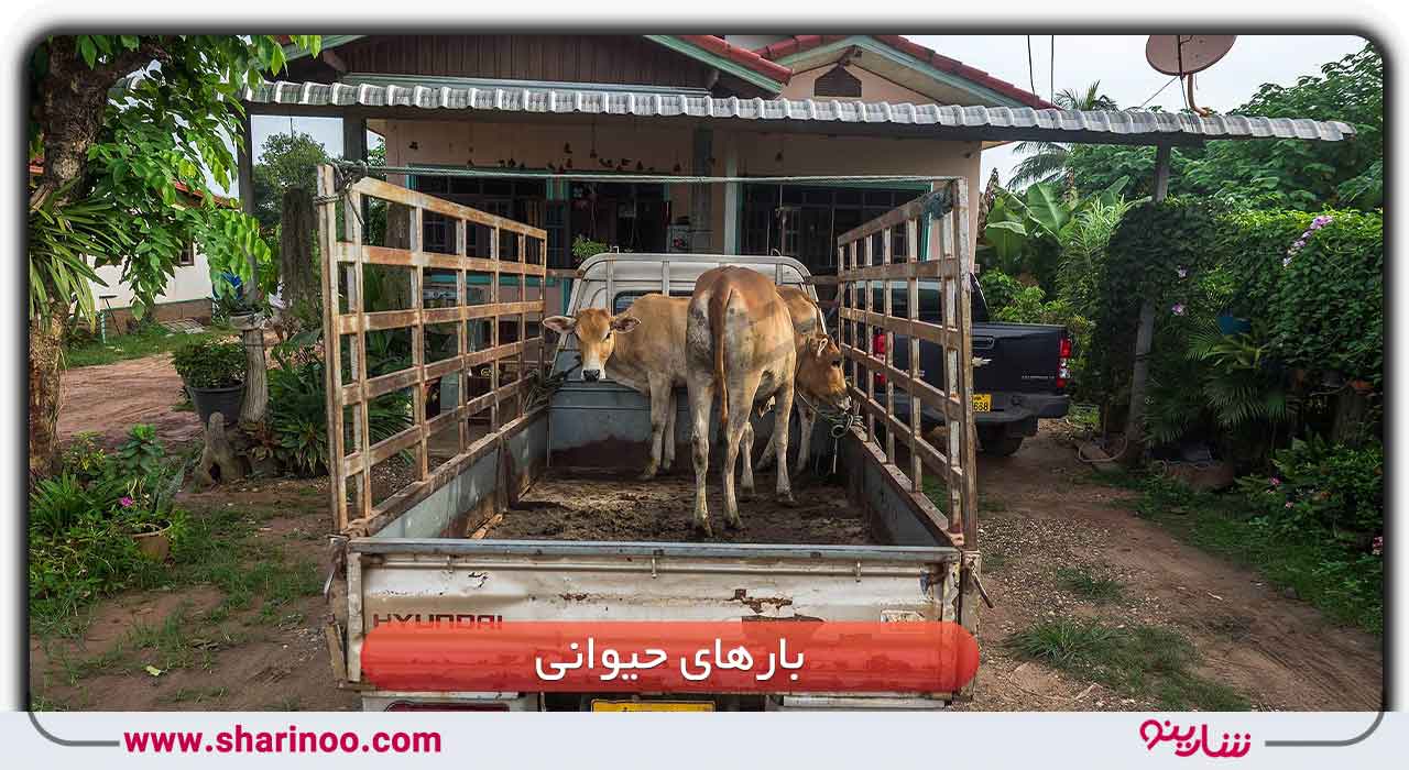 حمل حیوانات در باربری