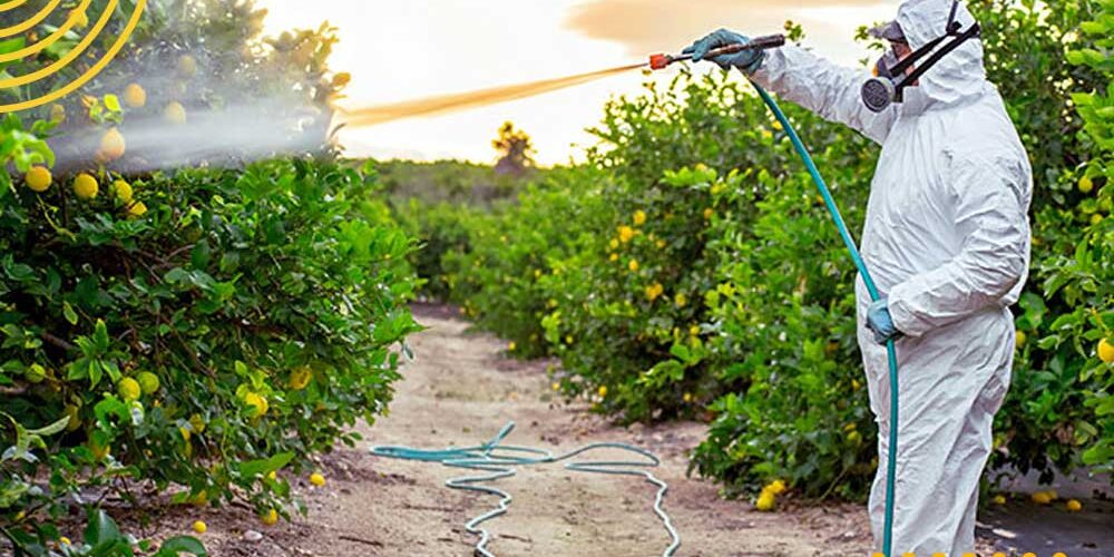 خرید 5مدل شیلنگ از تولید کننده شیلنگ صنعتی وکشاورزی+قیمت1402