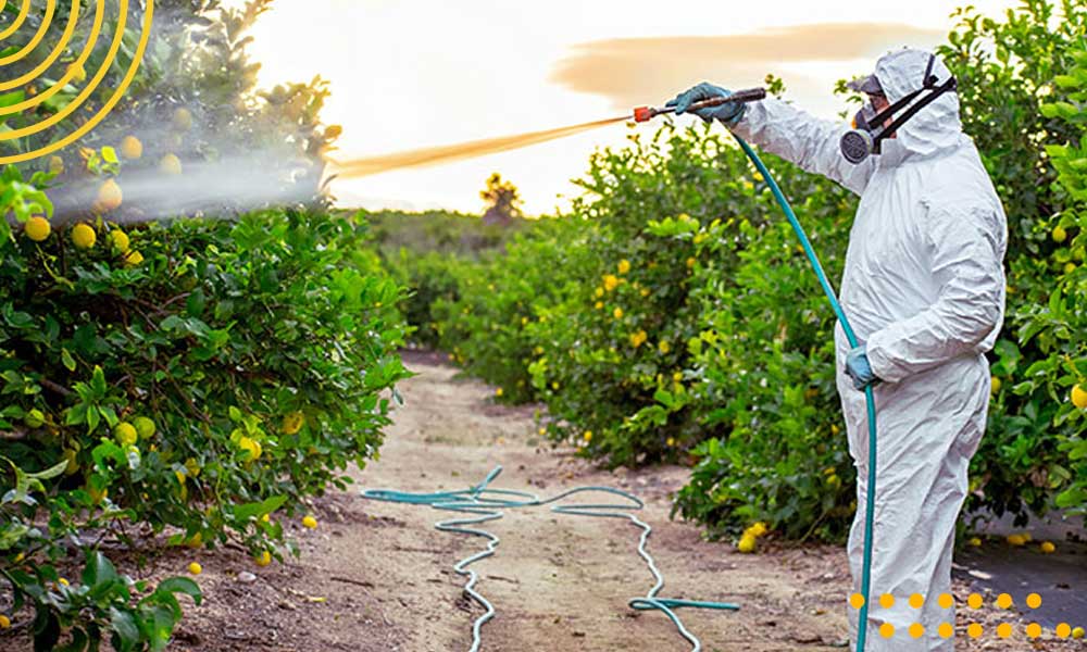 خرید 5مدل شیلنگ از تولید کننده شیلنگ صنعتی وکشاورزی+قیمت1402