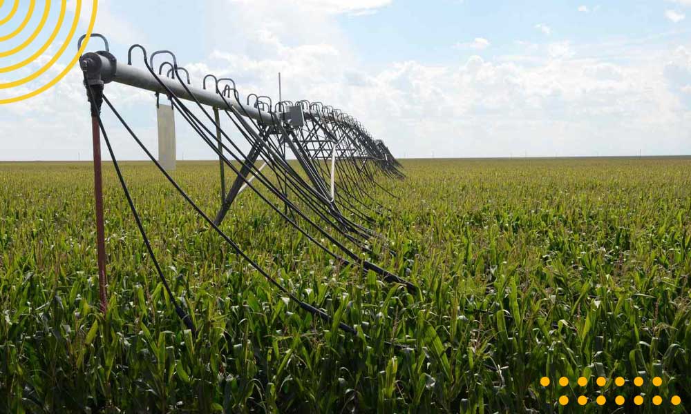 قیمت شیلنگ در تولید کننده شیلنگ صنعتی