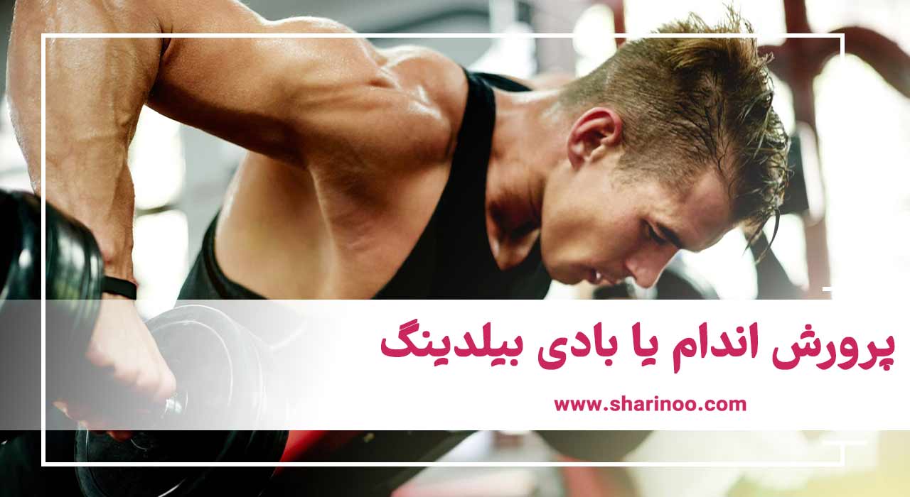 رشتههای ورزشی باشگاه بدنسازی در اراک