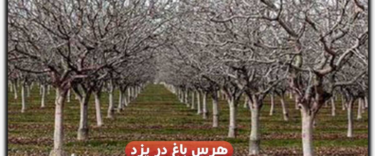 هرس باغ در یزد