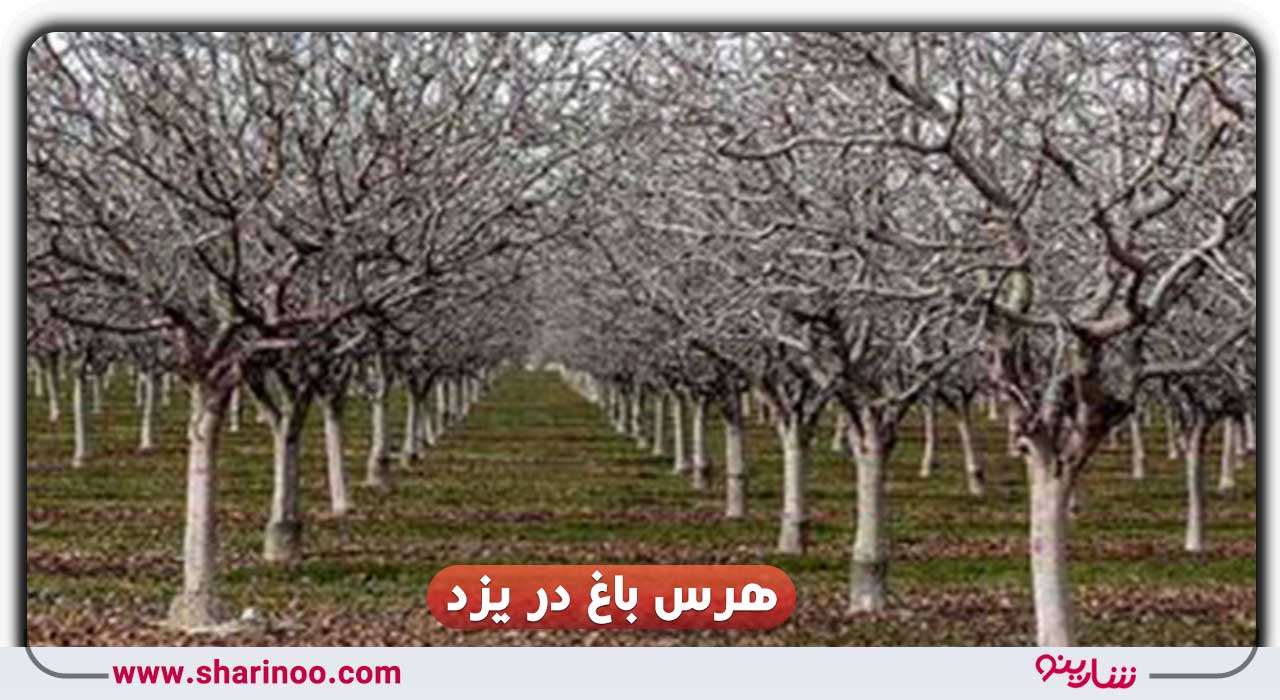هرس باغ در یزد