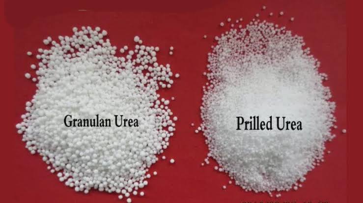 Prilled Urea vs Granular Urea